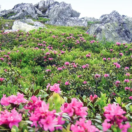 Mit Infarotkabi Poellau am Greim