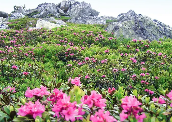 Mit Infarotkabi Poellau am Greim